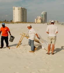 Cleanup crew, photo by Stiv J. Wilson