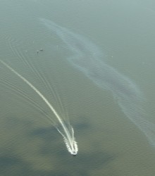 Oil slick, photo by Anna Brones (flight provided by www.southwings.org)